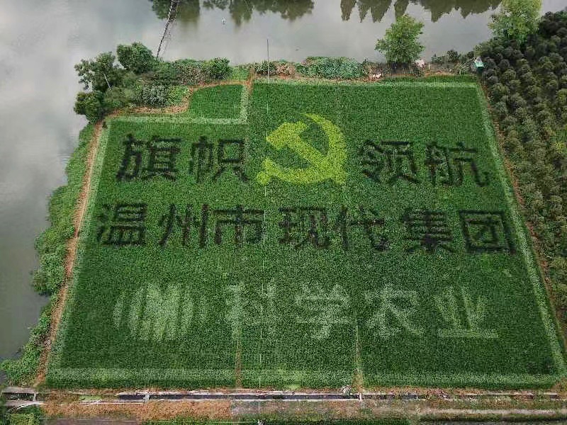 16eb061da2a924cee0f2e3b43b6d019.jpg 16eb061da2a924cee0f2e3b43b6d019.jpg